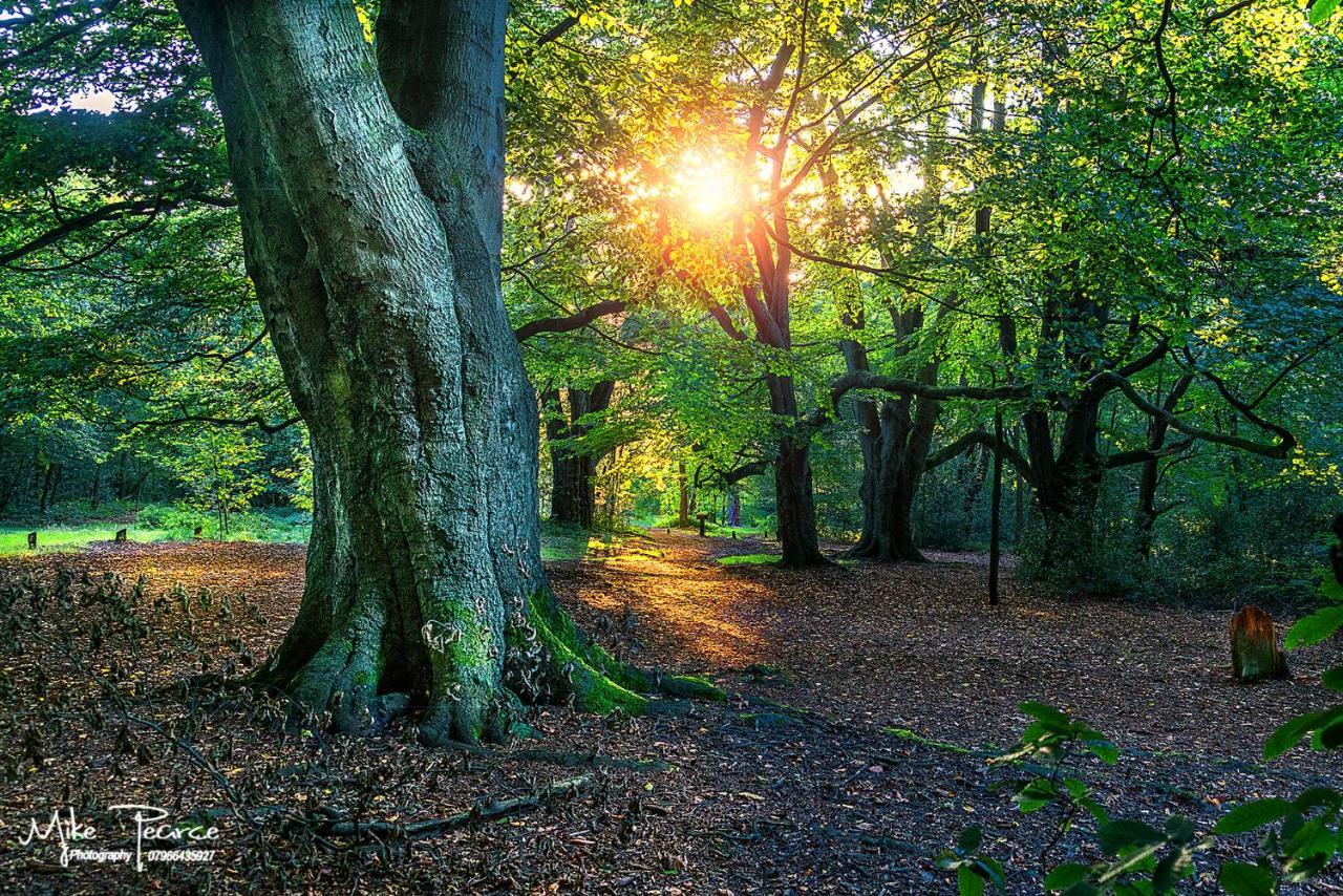 Newhall Lodge Cannock Kültér fotó